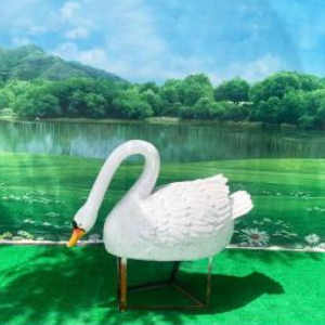 玻璃鋼仿真天鵝