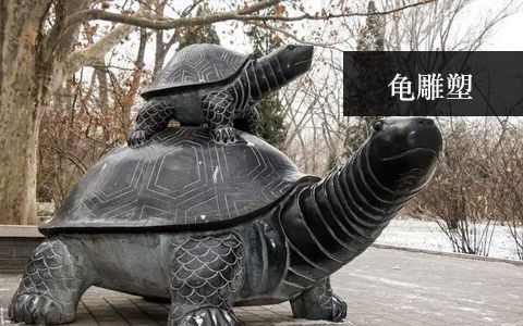 龜雕塑 龜雕塑