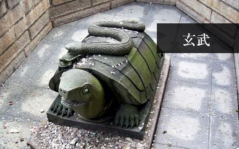 龜蛇(玄武) 龜蛇(玄武)