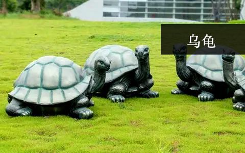 烏龜雕塑 烏龜雕塑